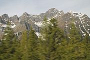 05 - Banff to Icefields - IMG_0914